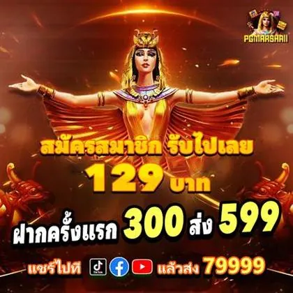 FESTAWIN